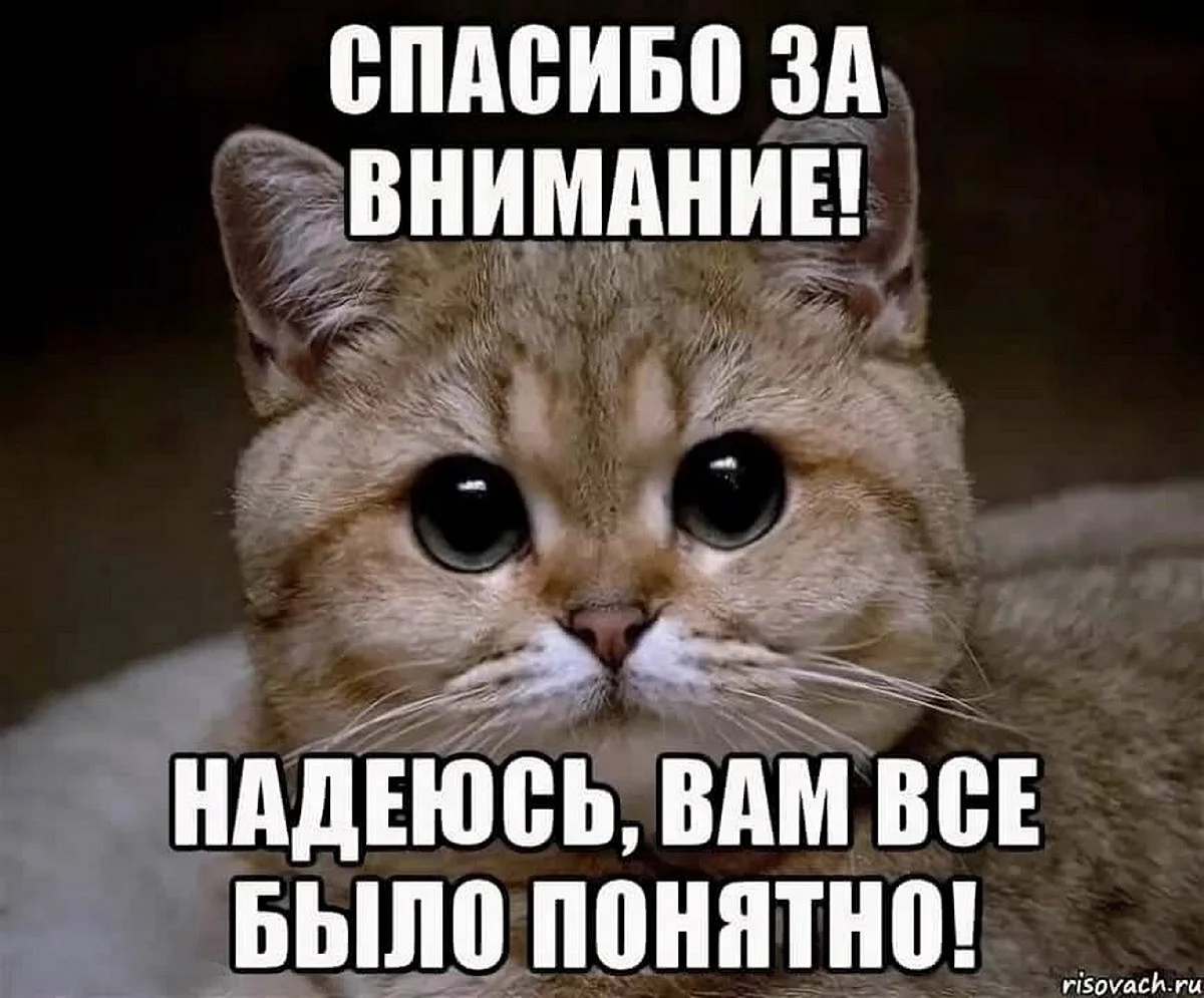 Общались насчет. Спасибо за внимание. Картинка спасибо за внимание. Спасибо за внимание смешные. Презентация закончена спасибо за внимание.