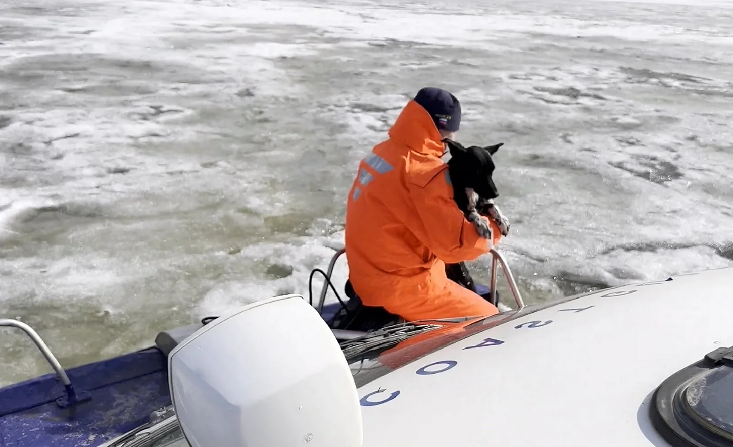 Спасли собаку на льдине