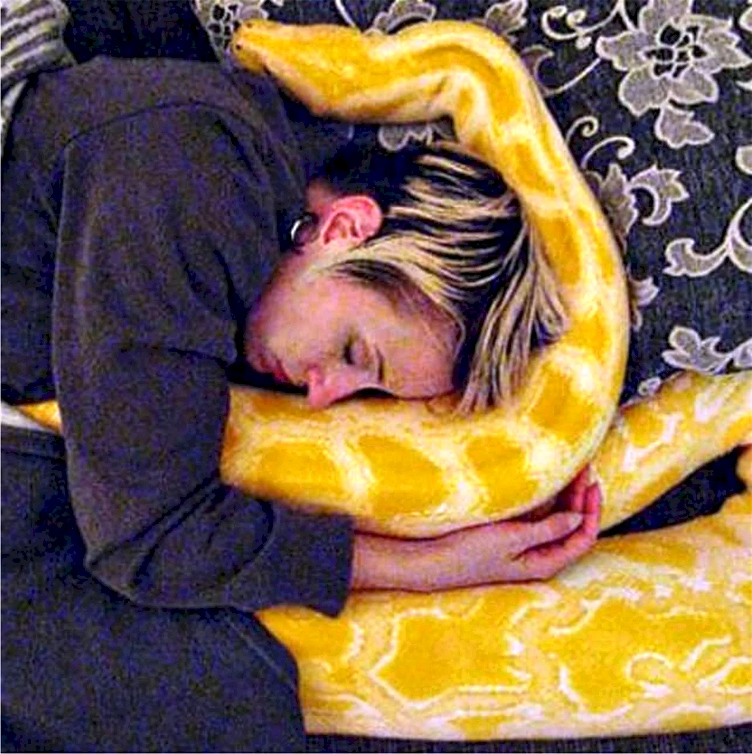 Спящий змей