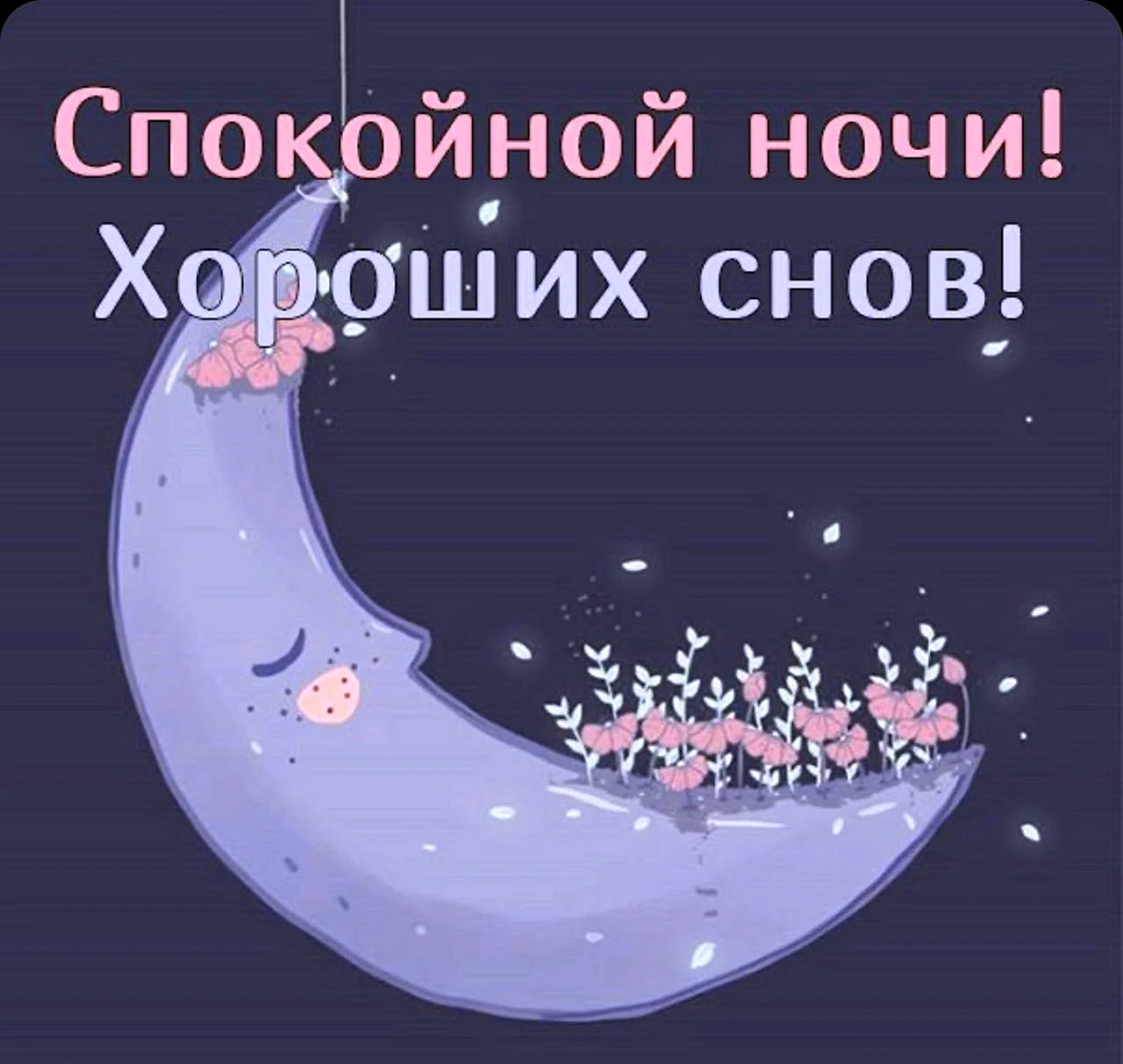 Спокойной ночи хороших снов