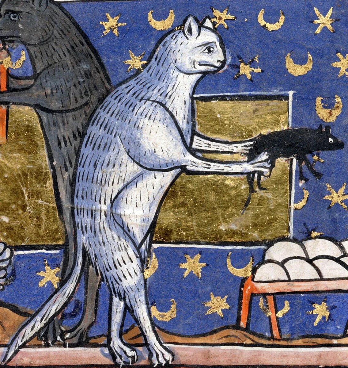 Средневековый Бестиарий кот