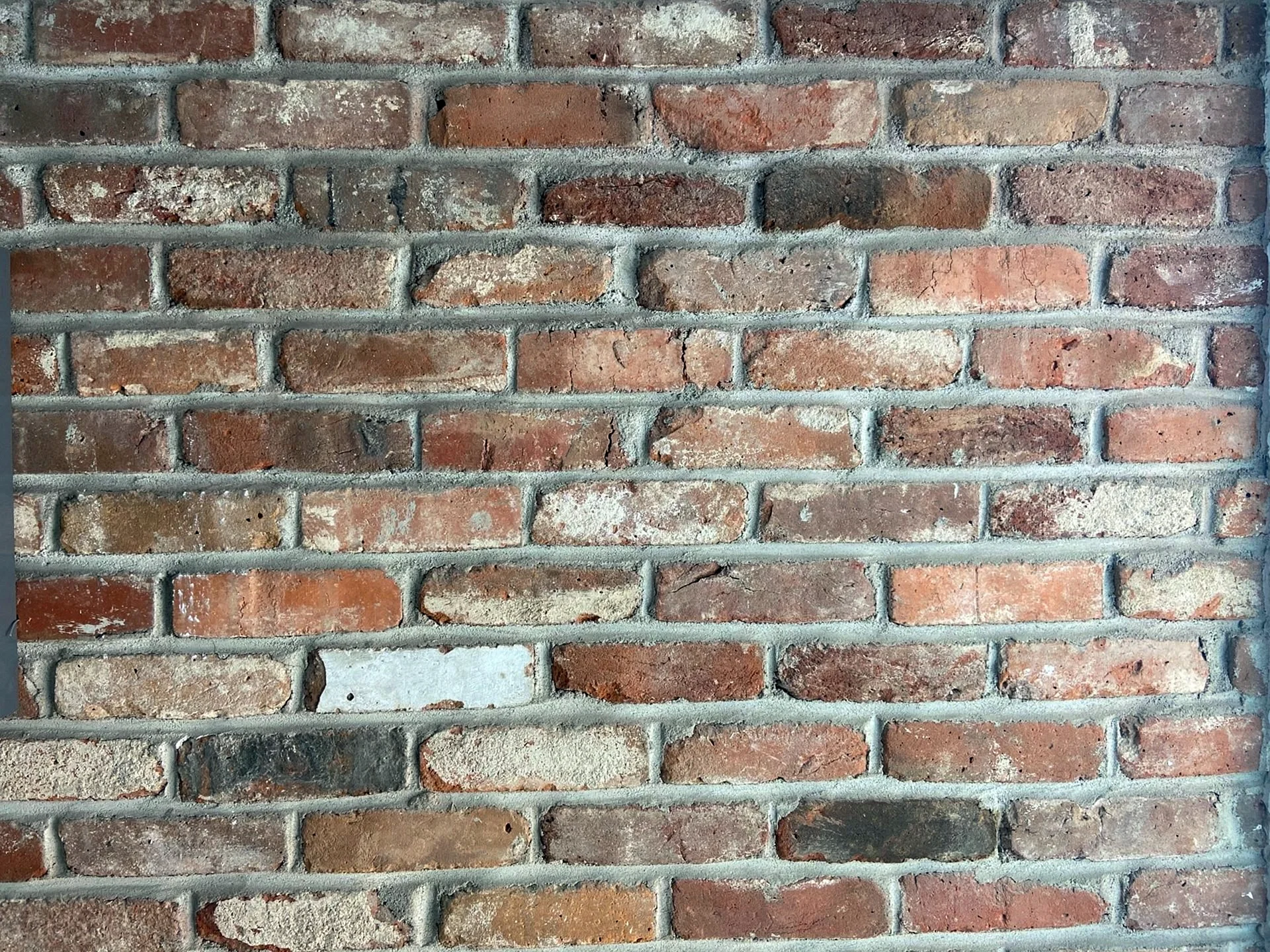 Стена для зум
