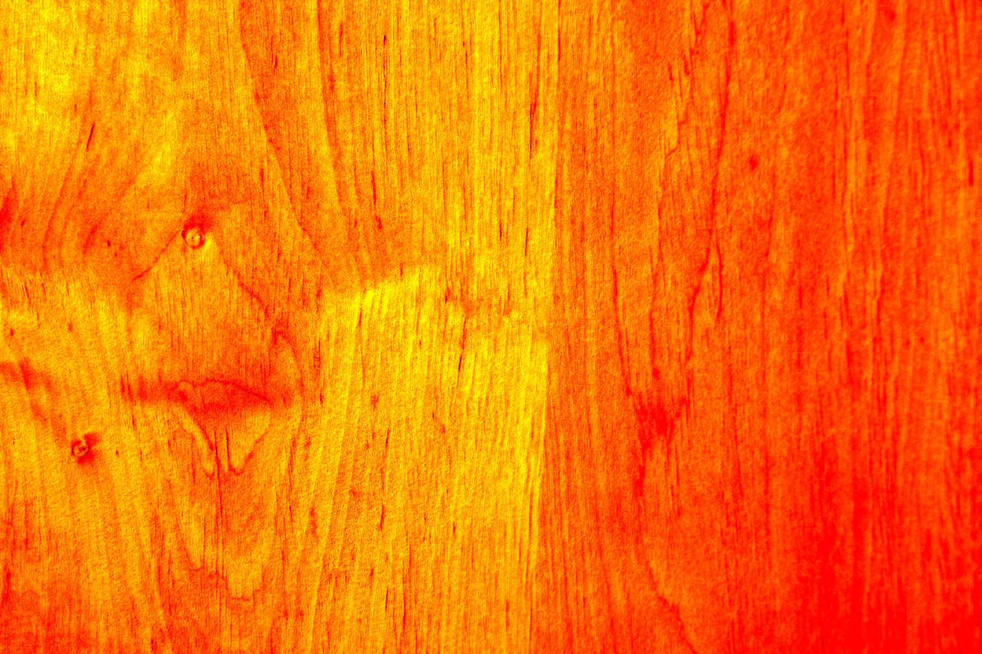 Стол светлое дерево текстура