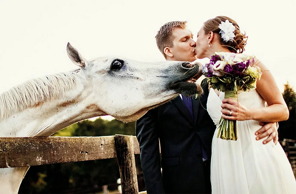 Свадебная фотосессия с животными