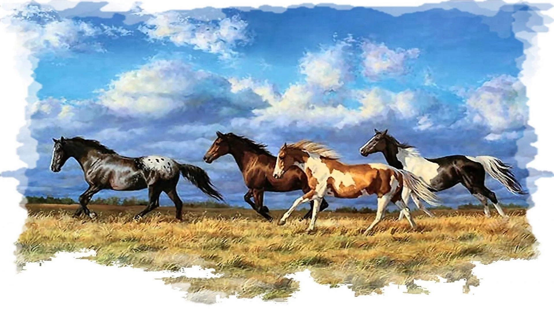 Табун лошадей в поле