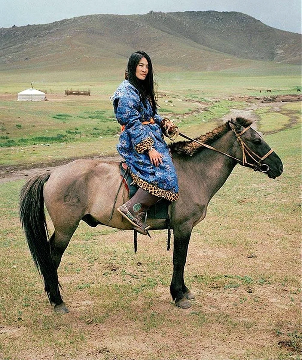 Ташур монгольский