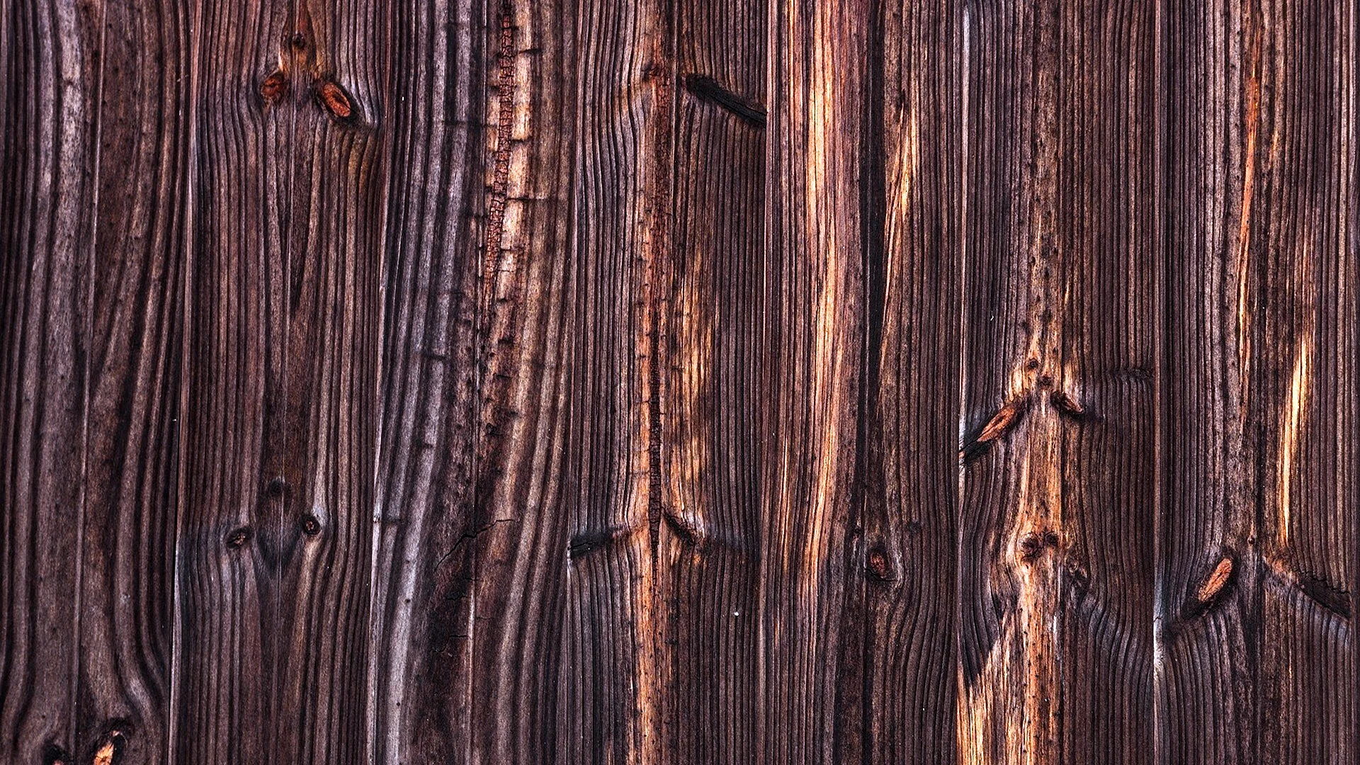 Текстура дерева