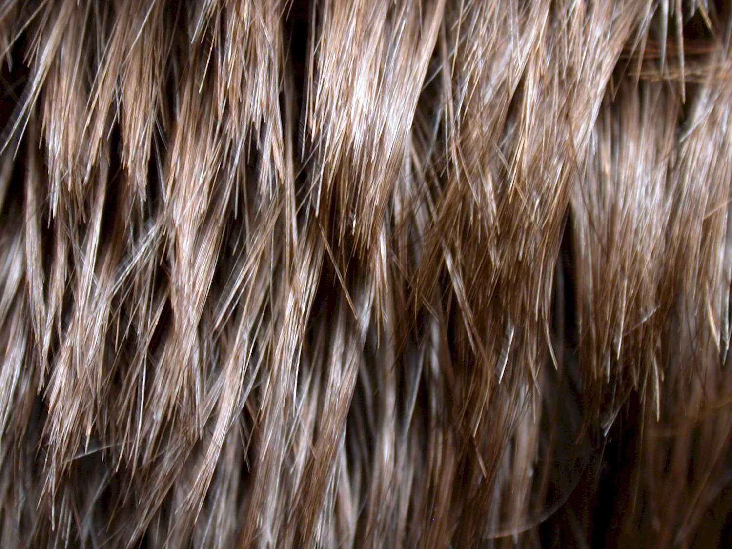 Текстура волос