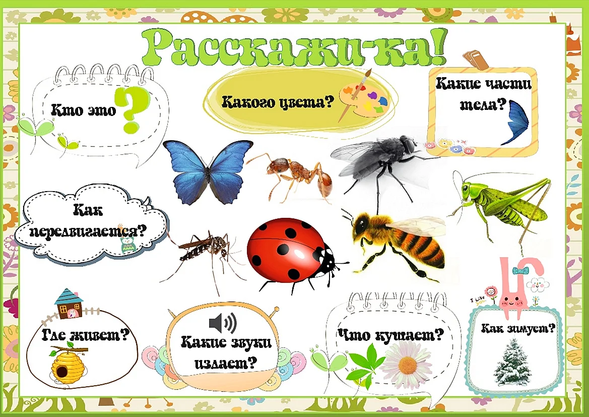 Тема насекомые для дошкольников
