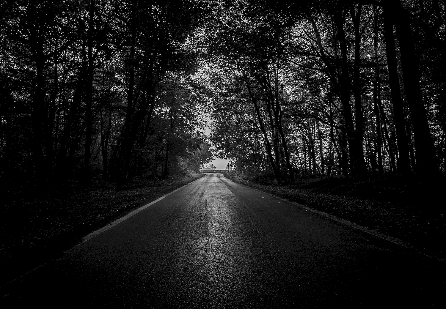 Темная дорога