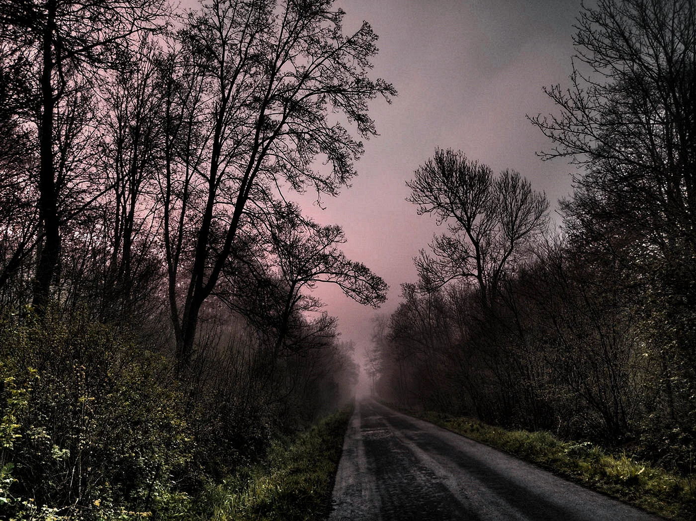 Темная дорога