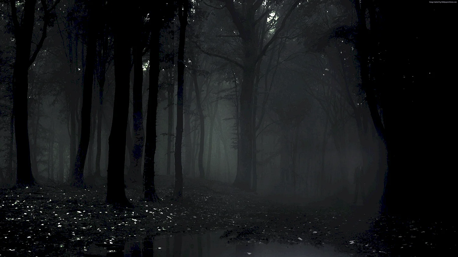 Темный лес Геншин