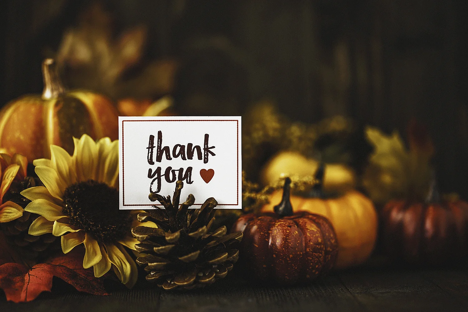 Thanksgiving картинки