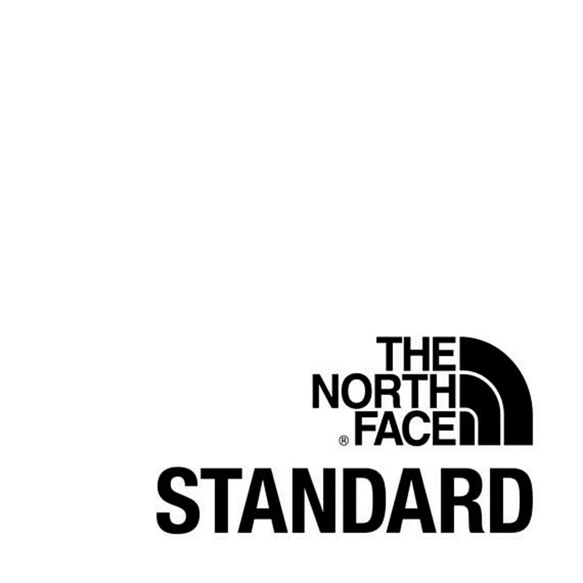 The North face logo