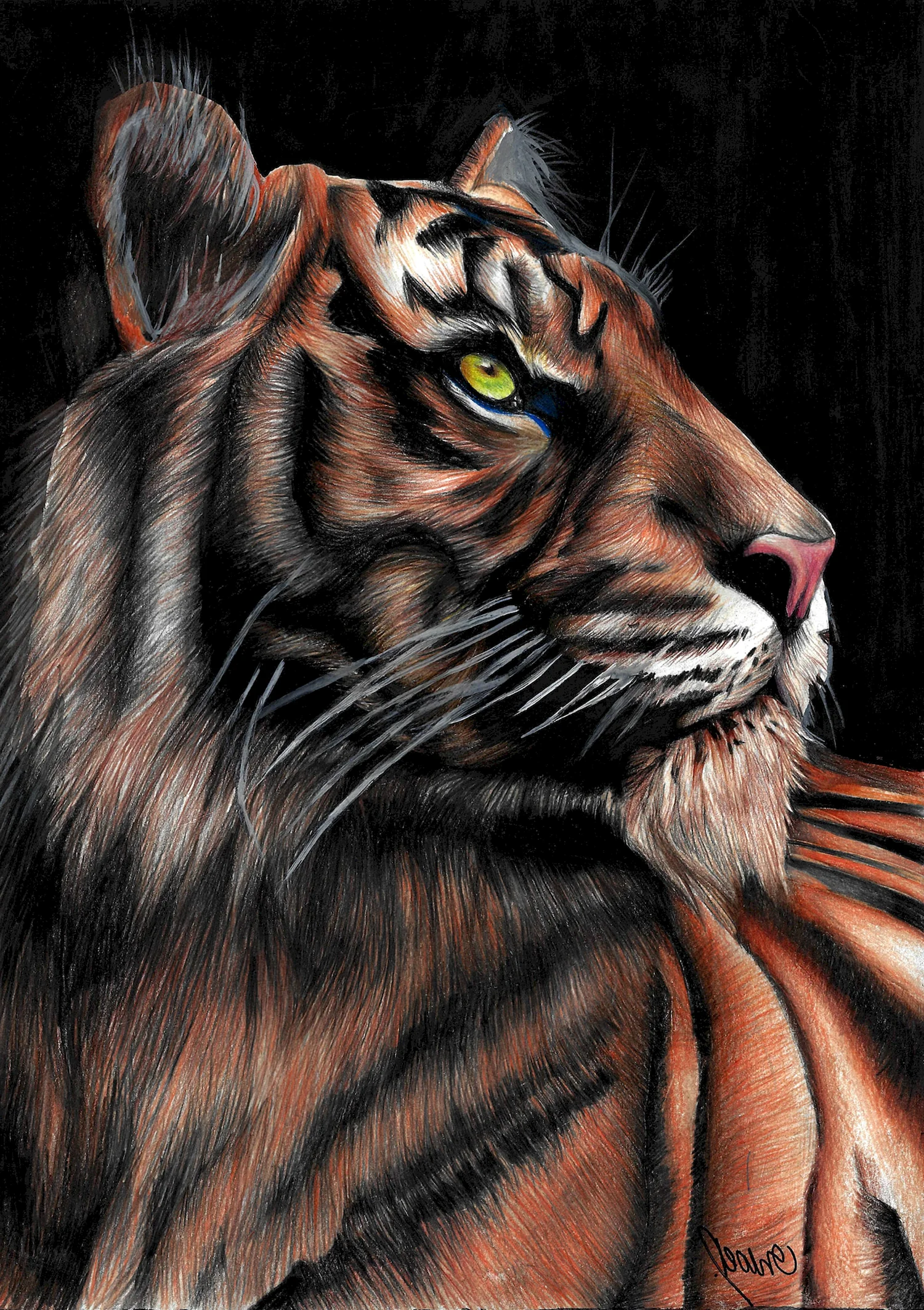 Тигр арт