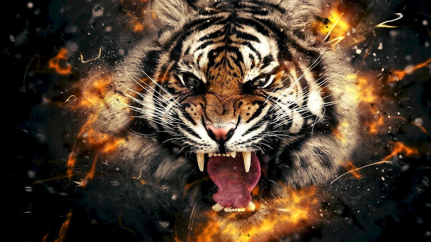 Тигр картинки