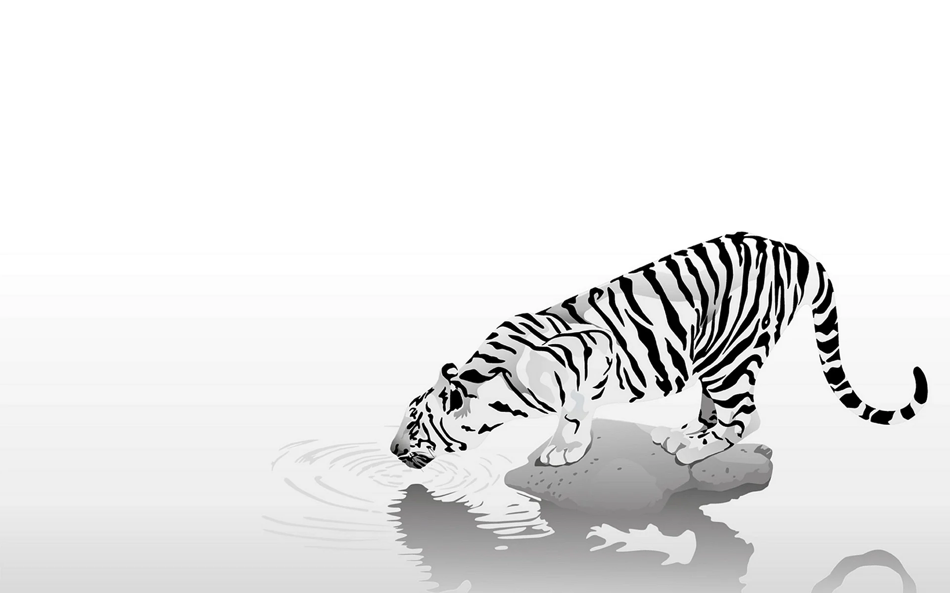 Тигр Минимализм