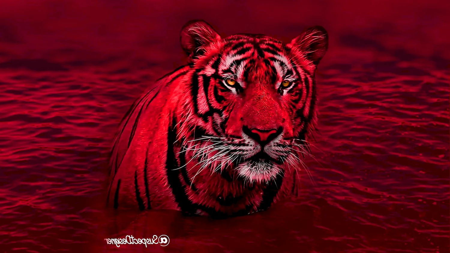 Тигр на Красном фоне