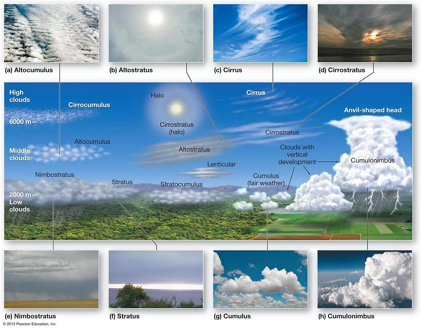 Типы облаков