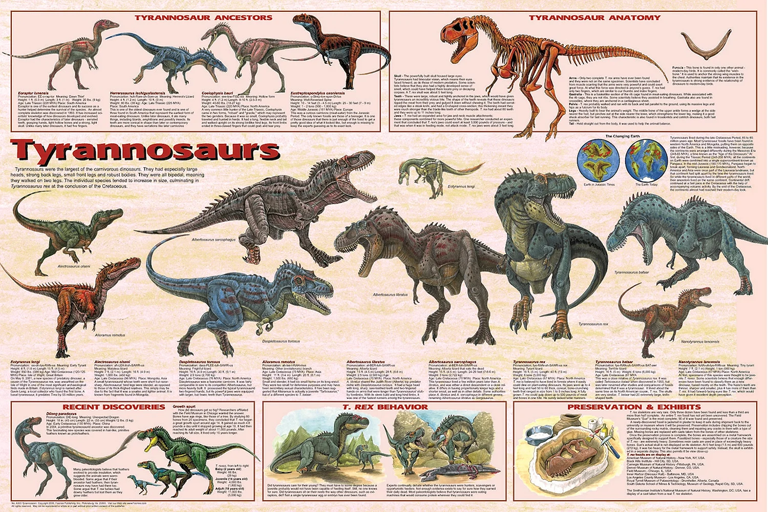Тираннозавр тираннозавриды