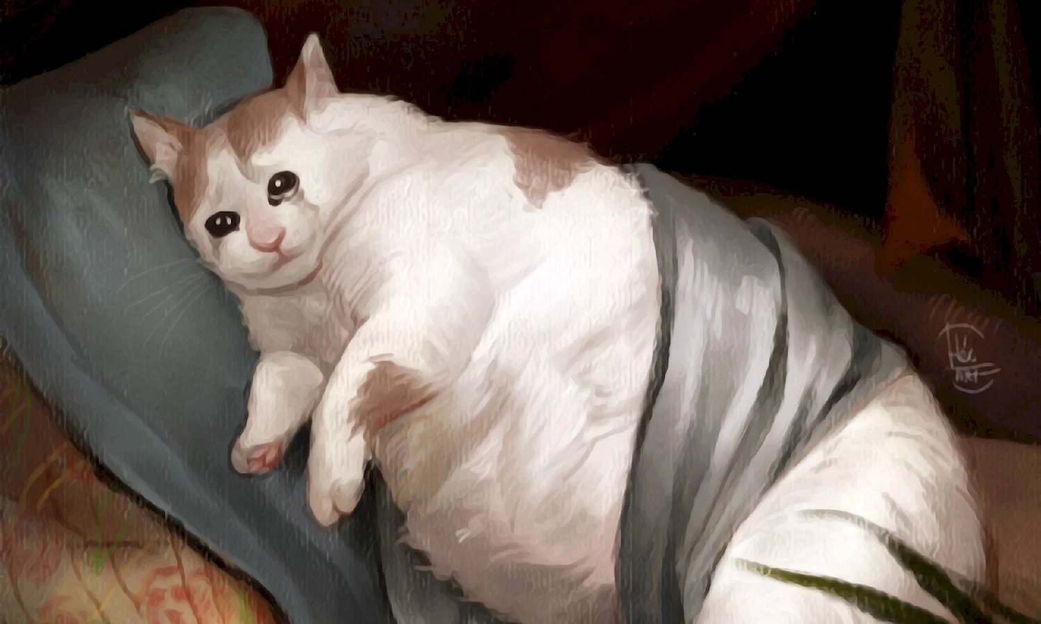 Толстый Плачущий кот