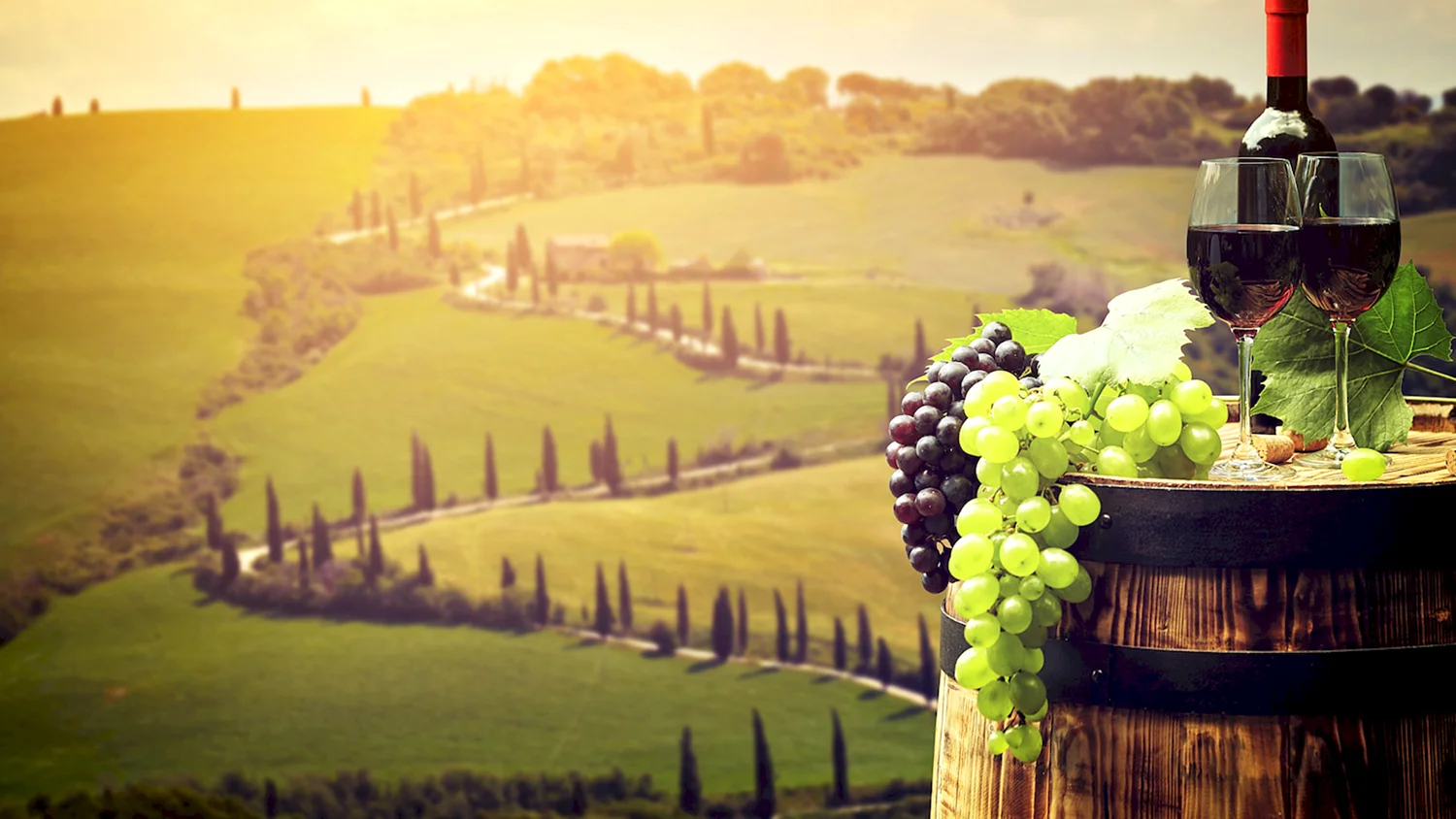 Тоскана Италия винодельни