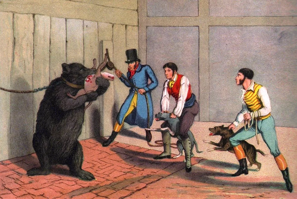 Травля Быков и медведей в Лондоне 17 век