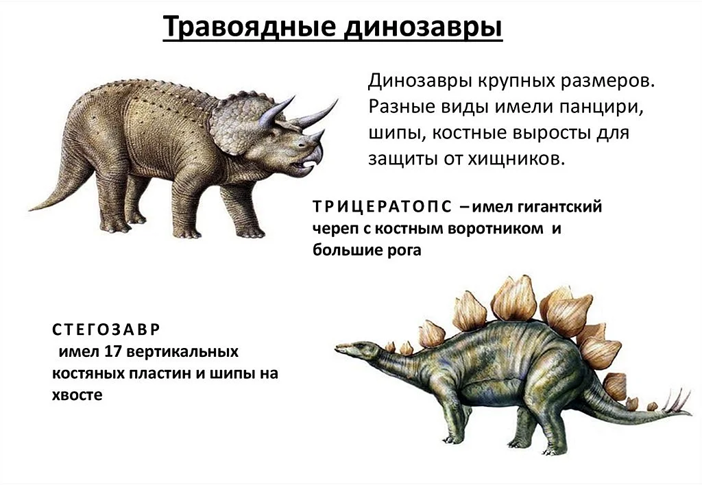 Травоядные динозавры названия