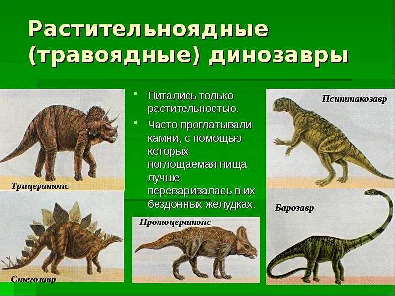 Травоядные динозавры названия
