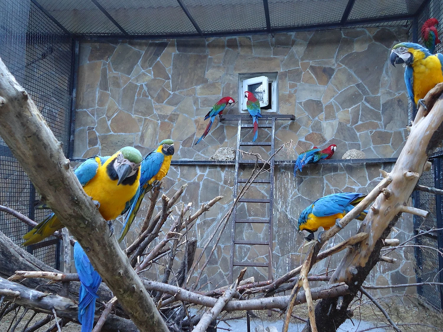Тропа попугаев Пражский зоопарк