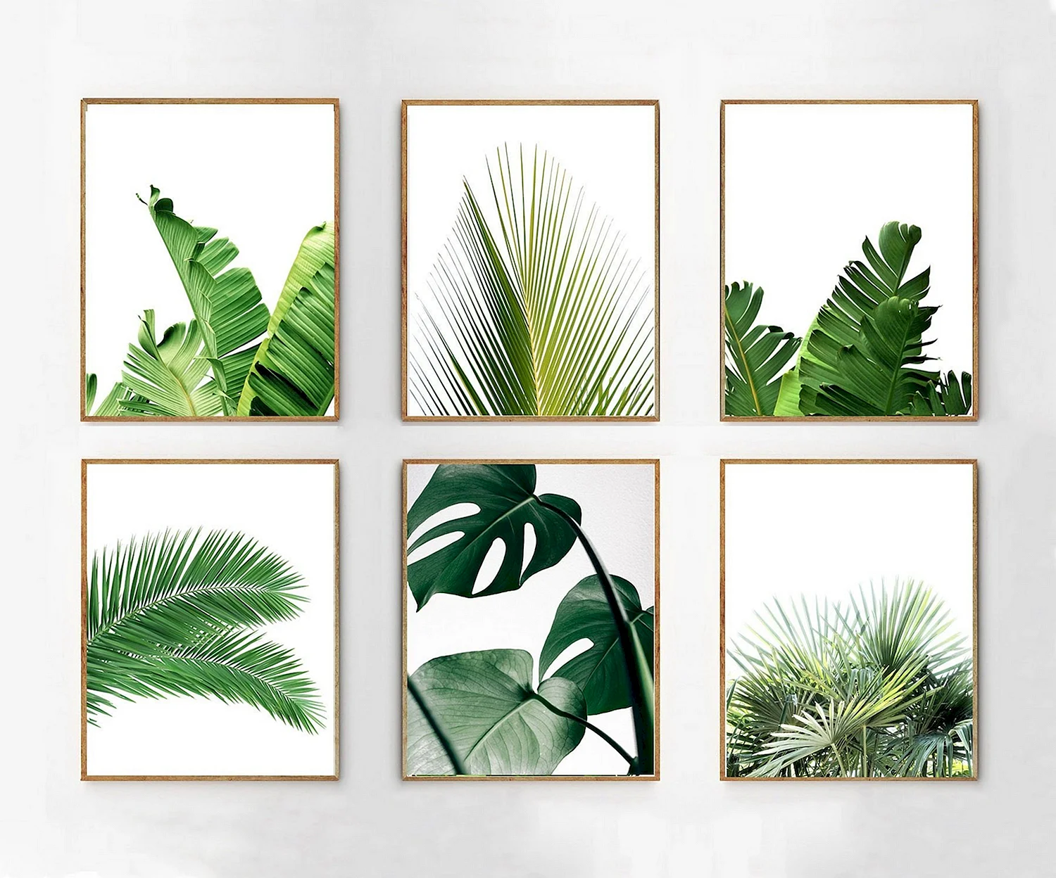 Tropical Leaf Prints, Banana, Monstera, Palm Leaf Prints, abstract Tropical leaves, Botanical Decor картины