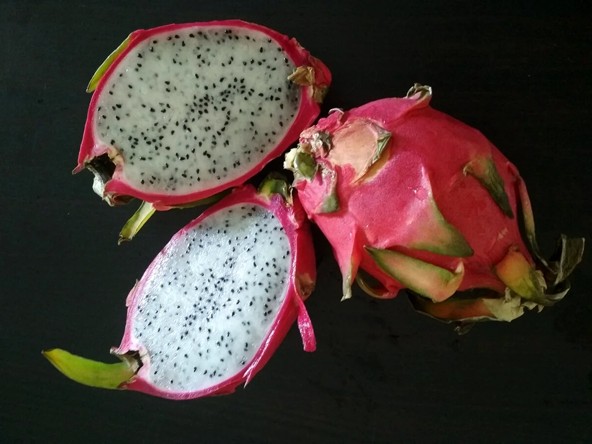 Тропический фрукт питахайя