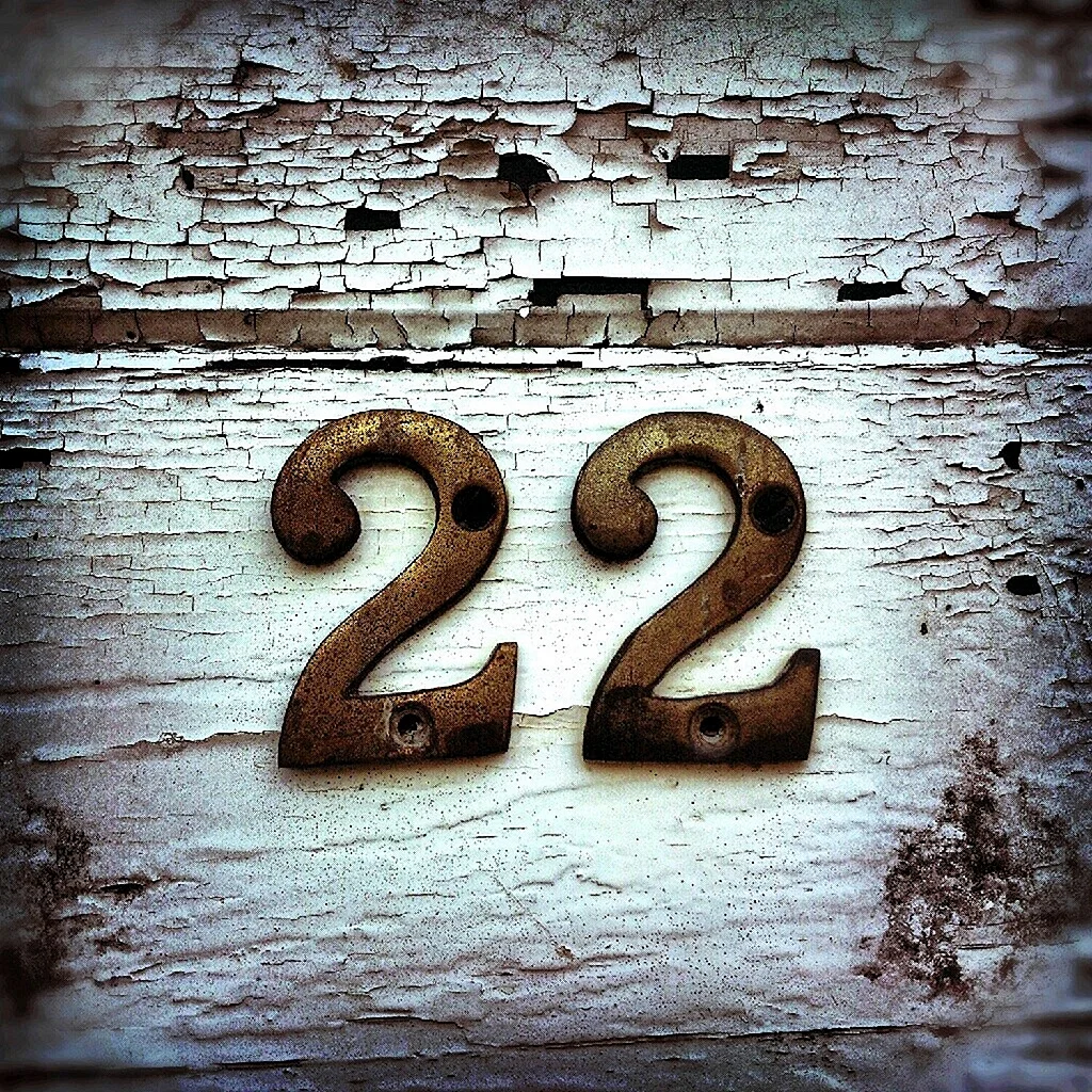 Цифра 22