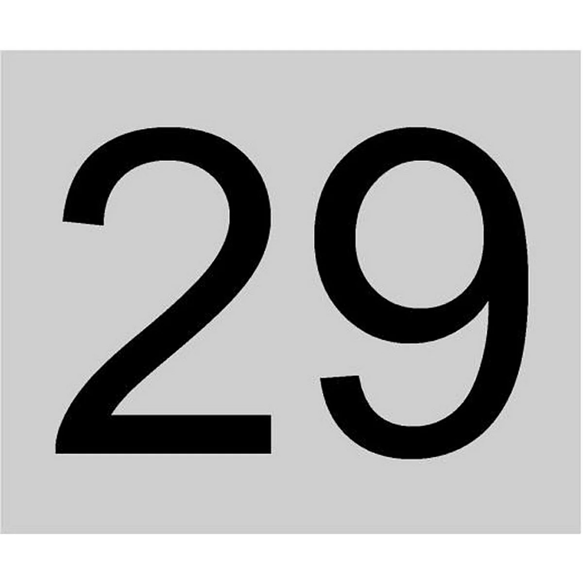 Цифра 29