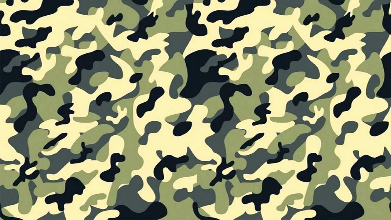 Цвет хаки военный