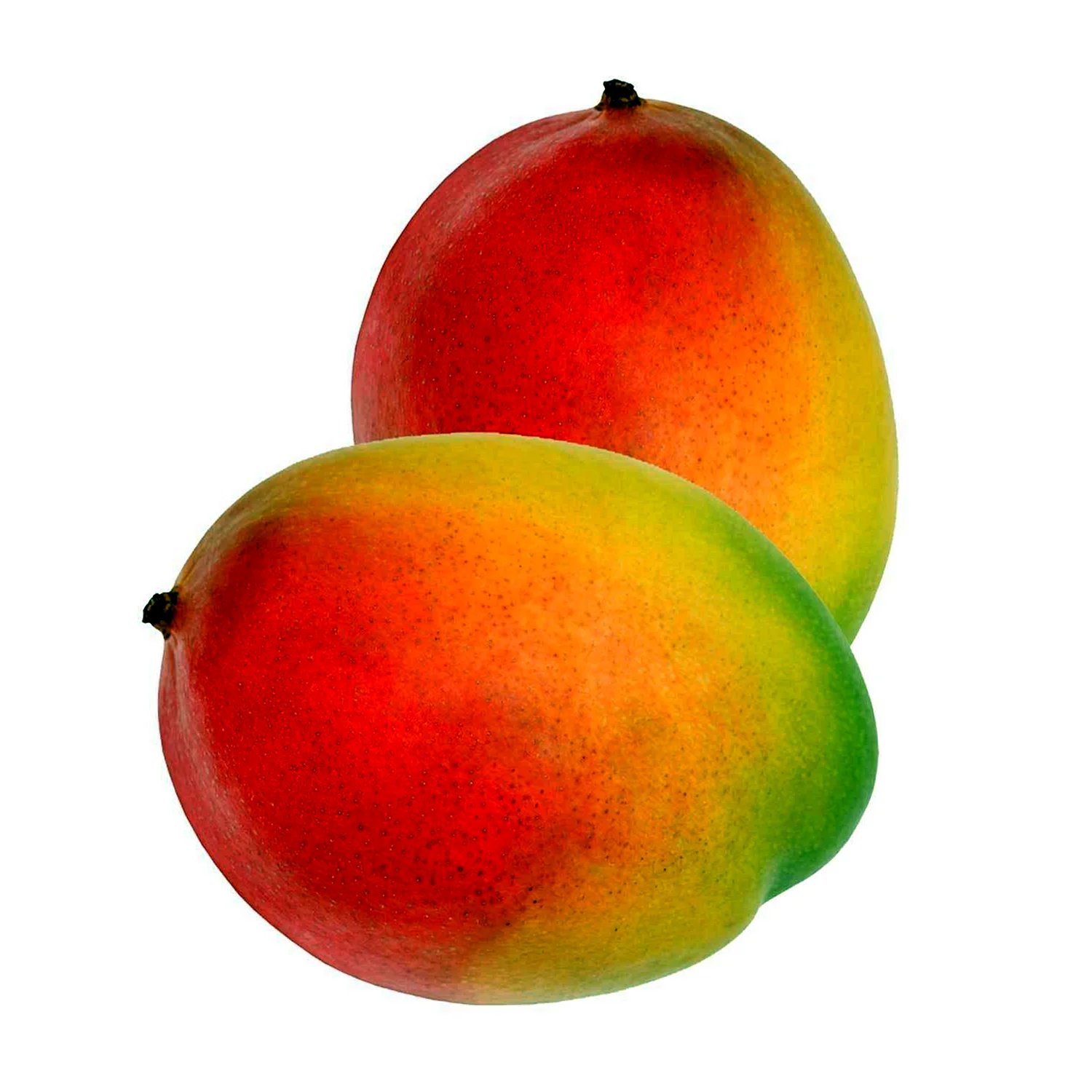 Цвет спелого манго