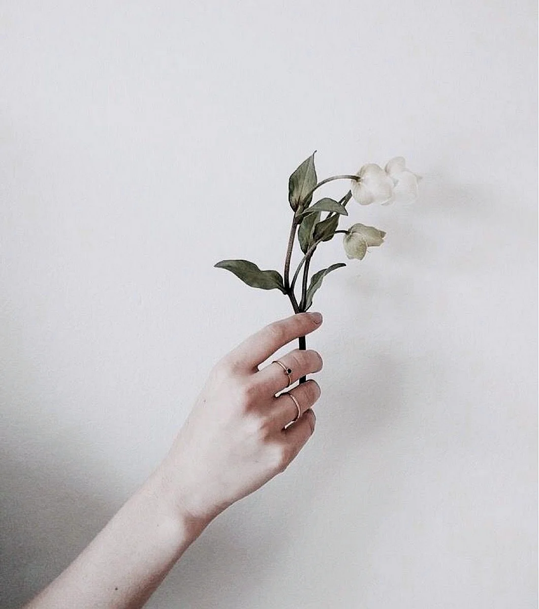 Цветок на руку.