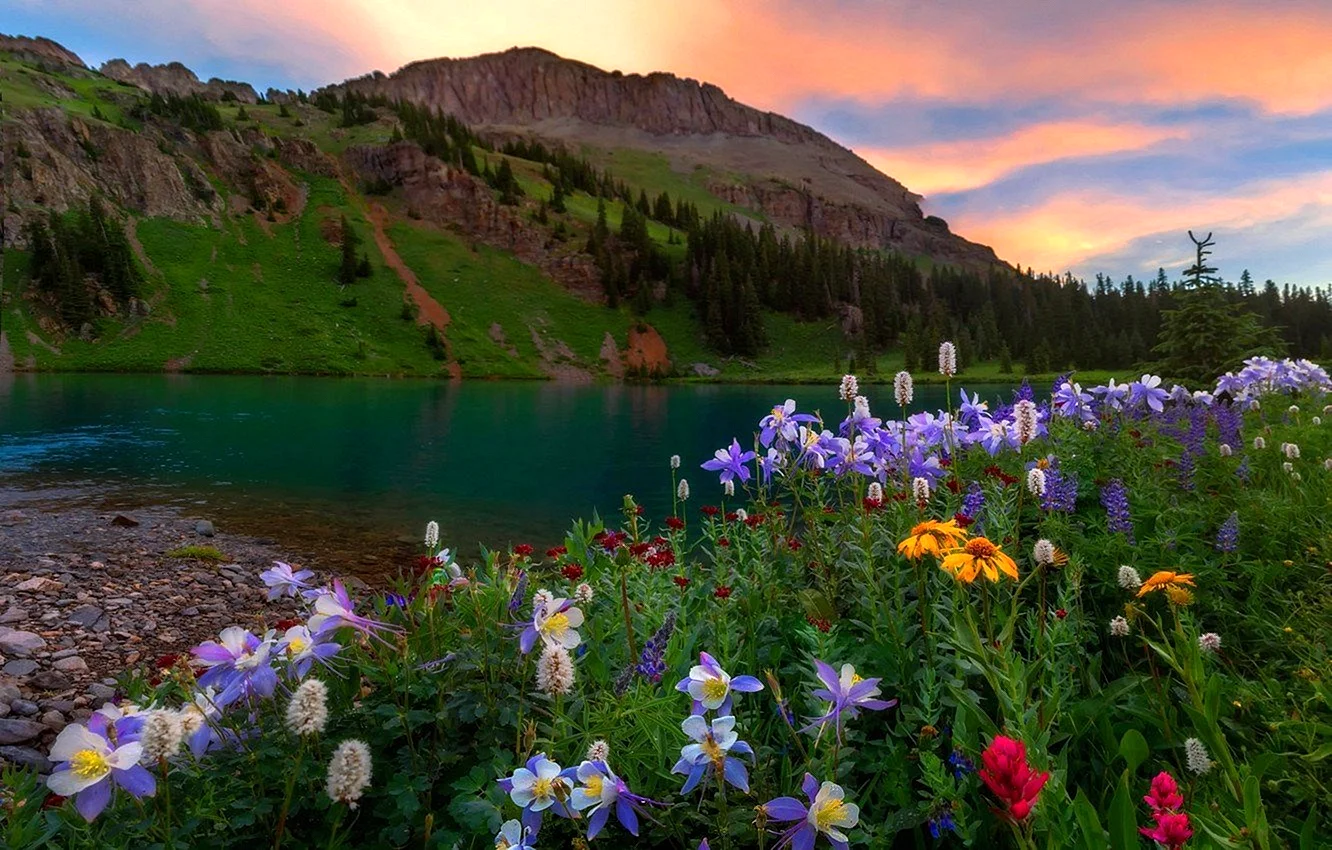 Цветущая Долина горный Алтай