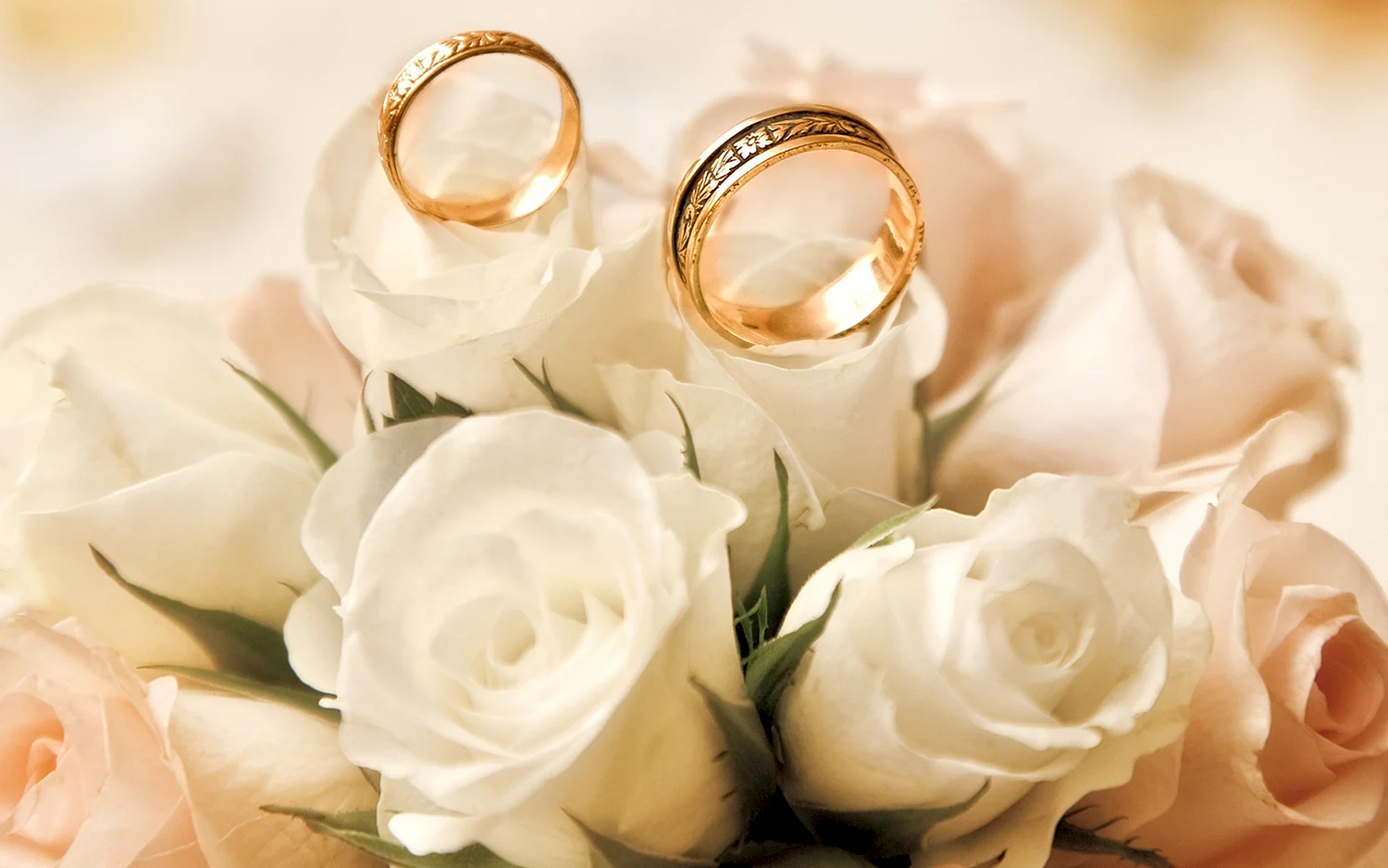 Цветы и Свадебные кольца