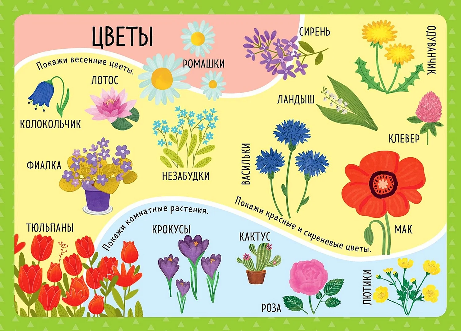 Цветы плакат для детей