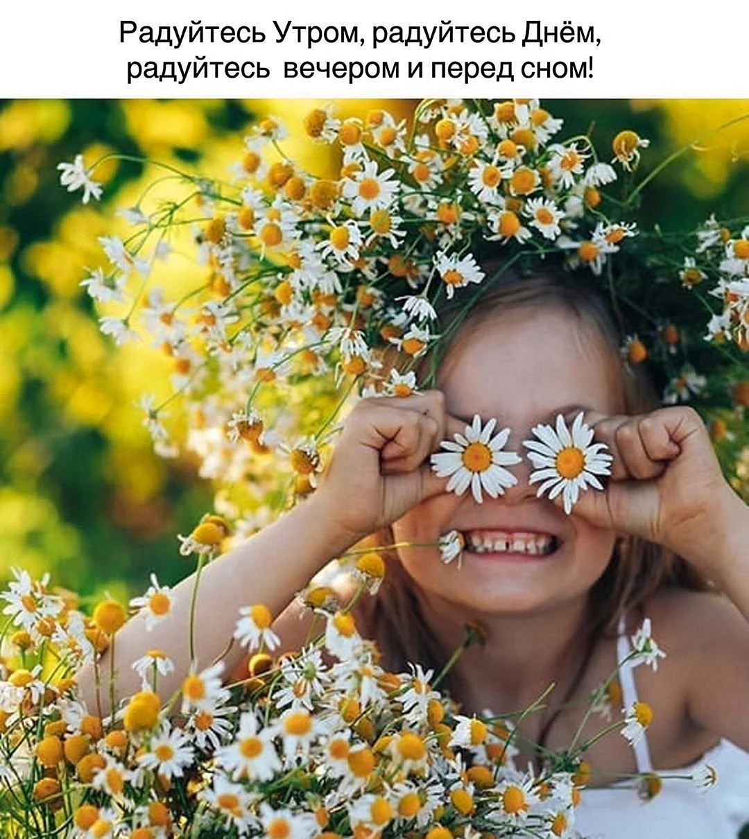 Цветы радость жизни