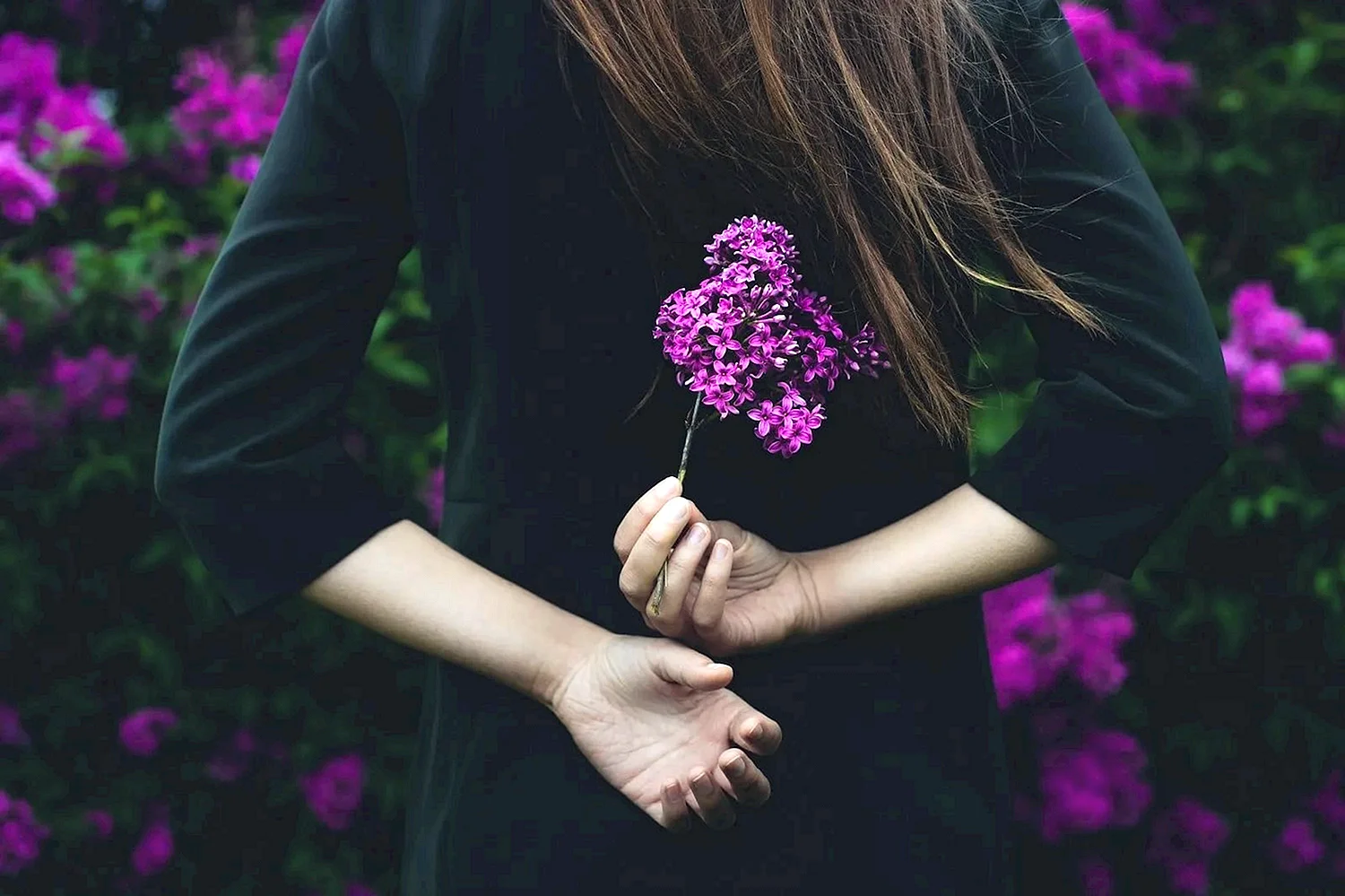 Цветы в руках у девушки