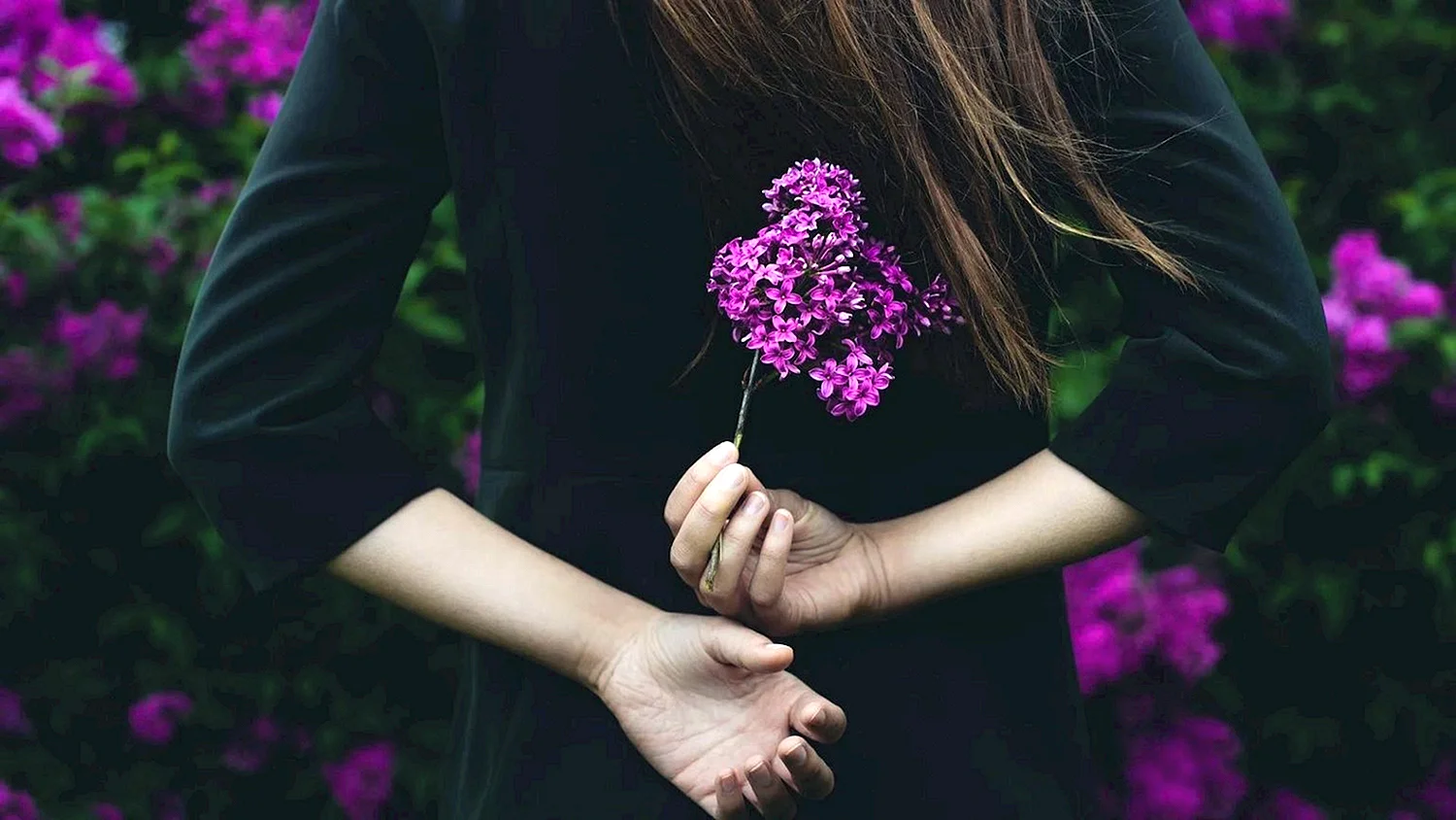Цветы в руках у девушки