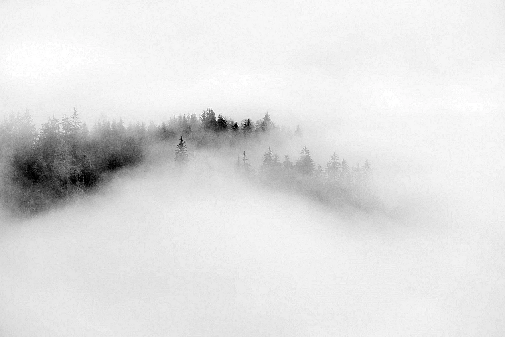 Туман на белом фоне