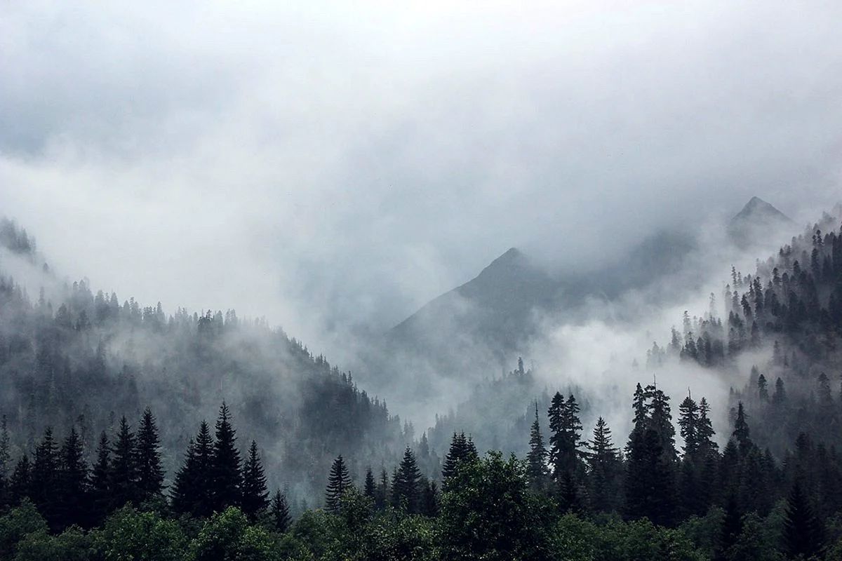 Туманные горы Дагестана