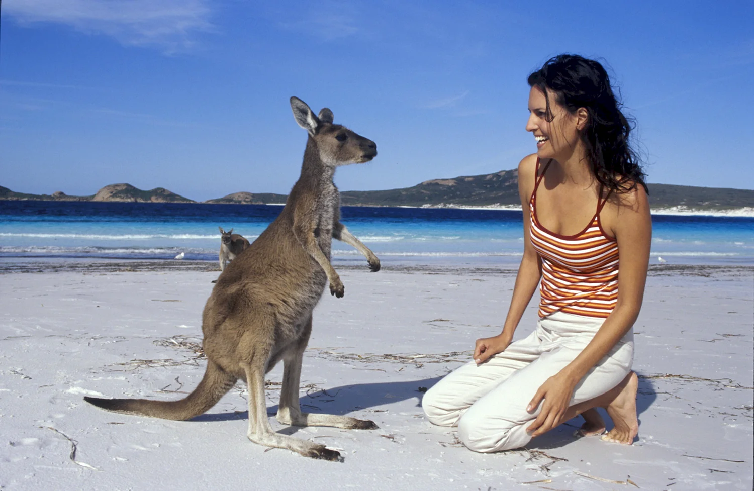 Турист в Австралии с кенгуру