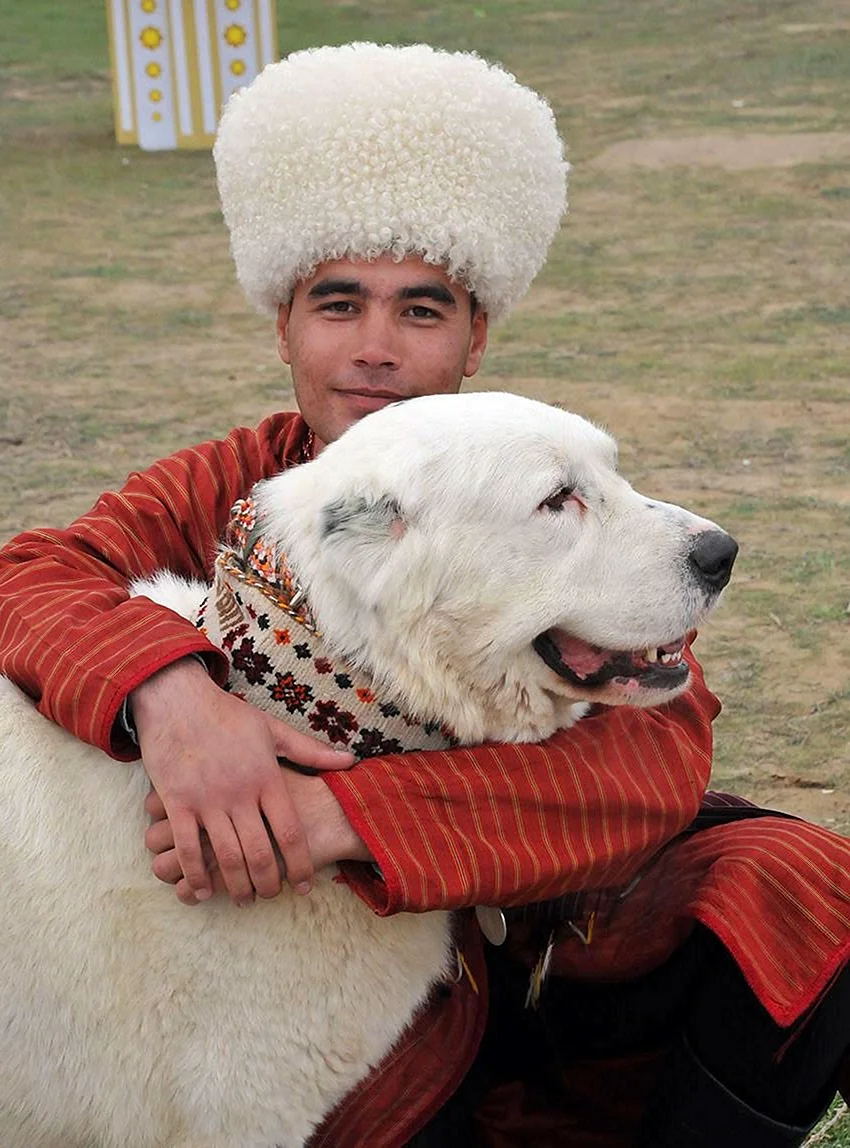 Туркменский алабай