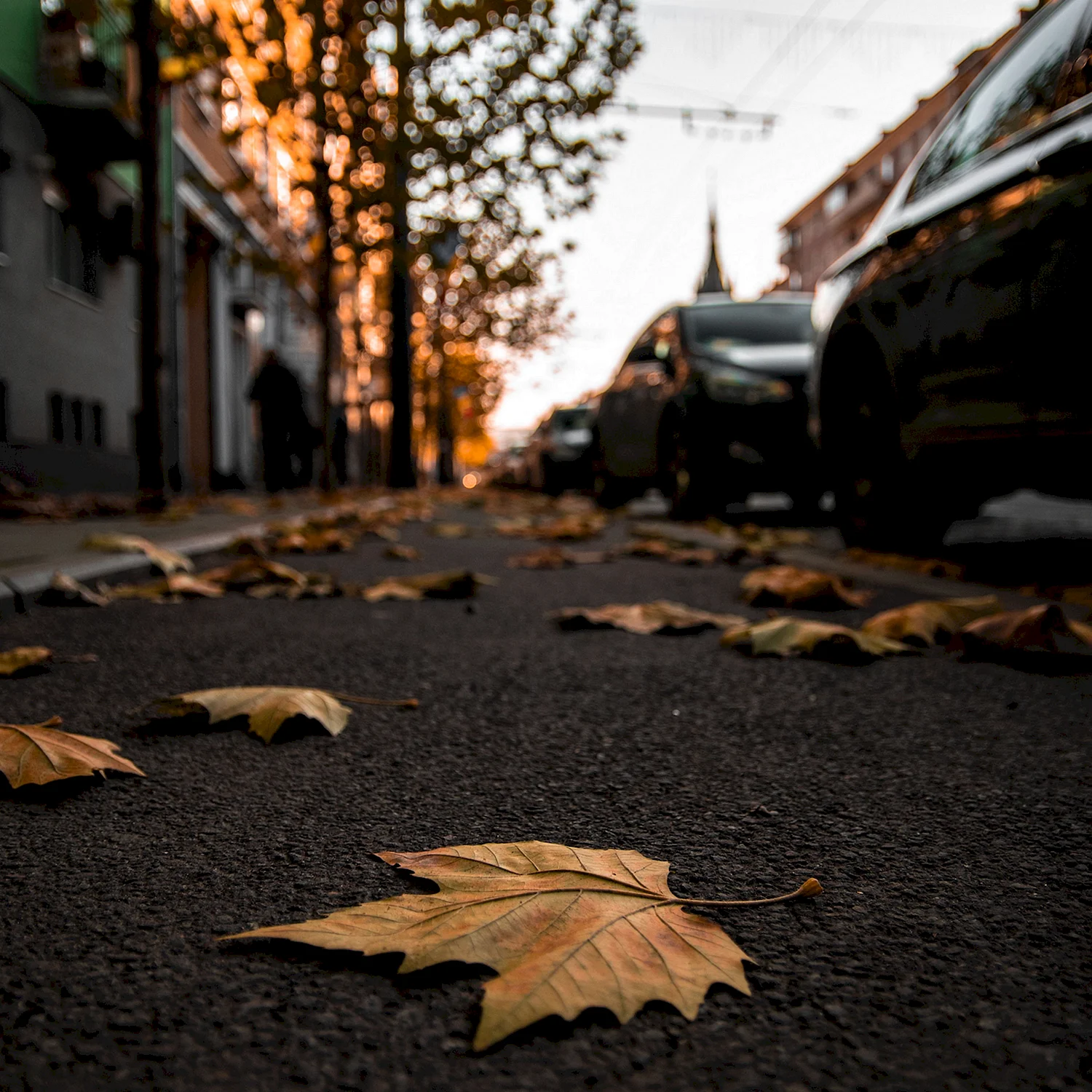 Улица в грязных листьях