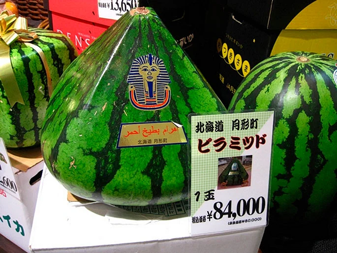 В Японии выращивают квадратные арбузы