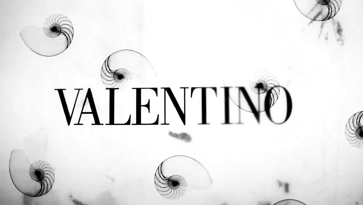 Valentino логотип бренда